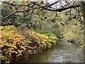 Afon Lwyd in autumn