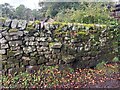 Stone Stile, Middle Hulme