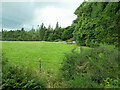 Field near Culcraggie Lodge