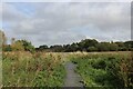 Harcamlow Way Encounters marshy ground near Follymill