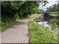 A tranquil basin next to the towpath