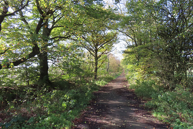 Abandoned Road © Anne Burgess :: Geograph Britain and Ireland