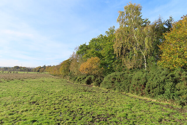 Field Boundary © Anne Burgess cc-by-sa/2.0 :: Geograph Britain and Ireland