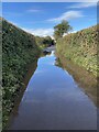 Flooded lane looking north