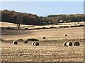 Round bales near Drumbauchly