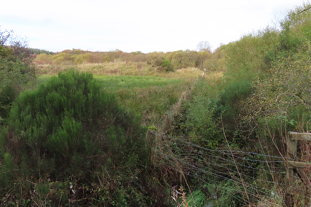 rough-ground-anne-burgess-geograph-britain-and-ireland