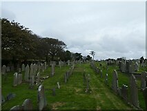 SC4991 : Kirk Maughold: churchyard (viii) by Basher Eyre