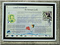 St Clears Castle Information Panel