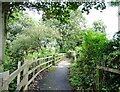 Footpath beside the old railway, New Herrington