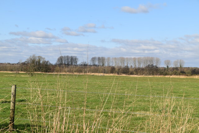 broome-marshes-n-chadwick-geograph-britain-and-ireland