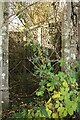 NO1536 : Entrance, Wright Vault, Old Graveyard, Cargill by Richard Sutcliffe