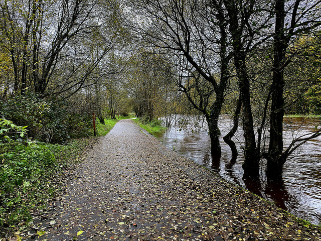 Autumnal Along The Highway To Health © Kenneth Allen Cc By Sa20