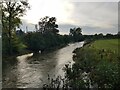 The River Lugg at Kingsland, Herefordshire