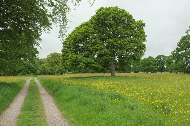 Stour Valley Way in Stourhead Park © Derek Harper :: Geograph Britain ...