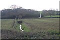 SN0102 : View across field to hillside lane by M J Roscoe