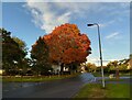 Valley Road, Newbury