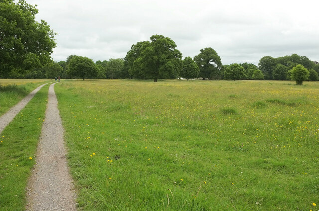 Stour Valley Way in Stourhead Park © Derek Harper :: Geograph Britain ...