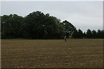 TL5643 : Footpath across a Ploughed Field near Little Bowsers by Chris Heaton