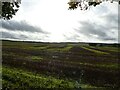 Wide open fields near Lilleshall