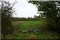 Railway sleepers beside the footpath