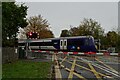 Train heading to Poppleton