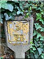 SH5772 : Hydrant marker on Victoria Drive, Bangor by Meirion