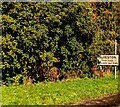 ST6387 : Alveston name sign, South Gloucestershire by Jaggery