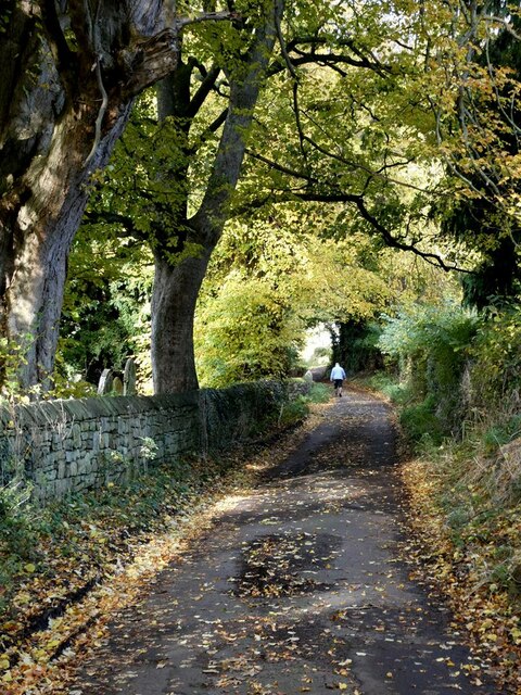 The Lane Past St Johns Church © Oliver Dixon Geograph Britain And