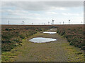 NT5561 : Moorland Track and Wind Farm by Adam Ward