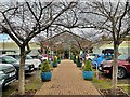 SJ3860 : Tree-lined approach to a garden centre by Graham Hogg