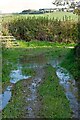 SS5233 : A waterlogged footpath between Bickington and The Tarka Trail by Roger A Smith