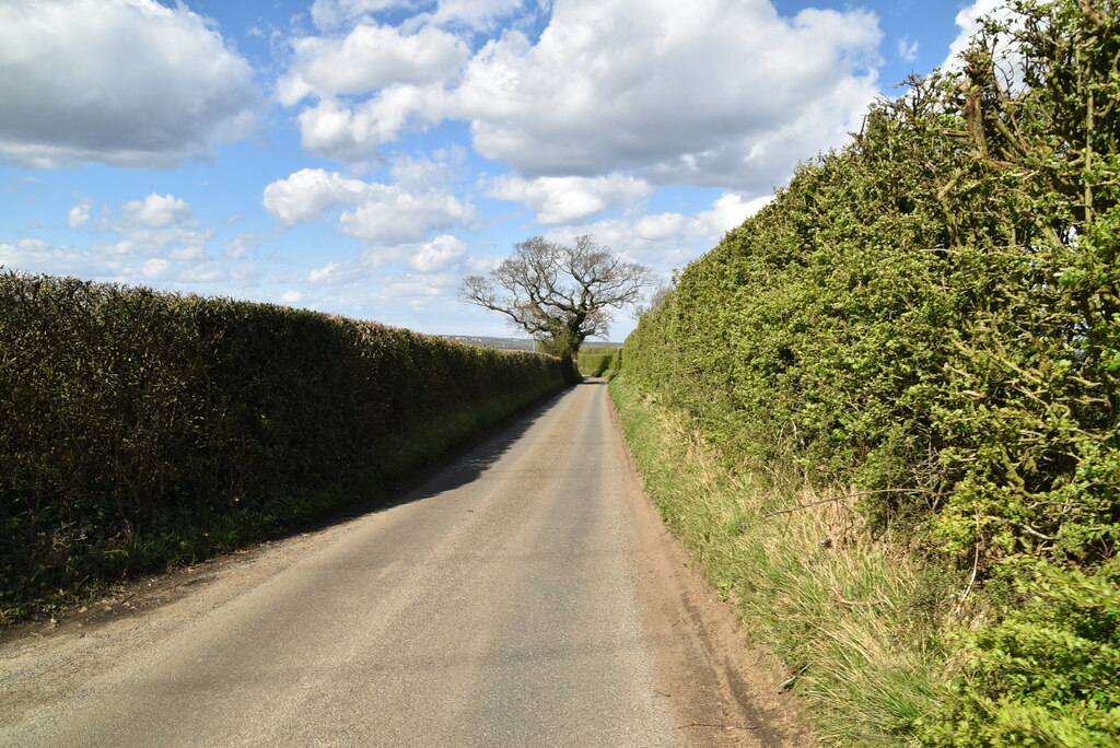 New House Lane © N Chadwick :: Geograph Britain and Ireland