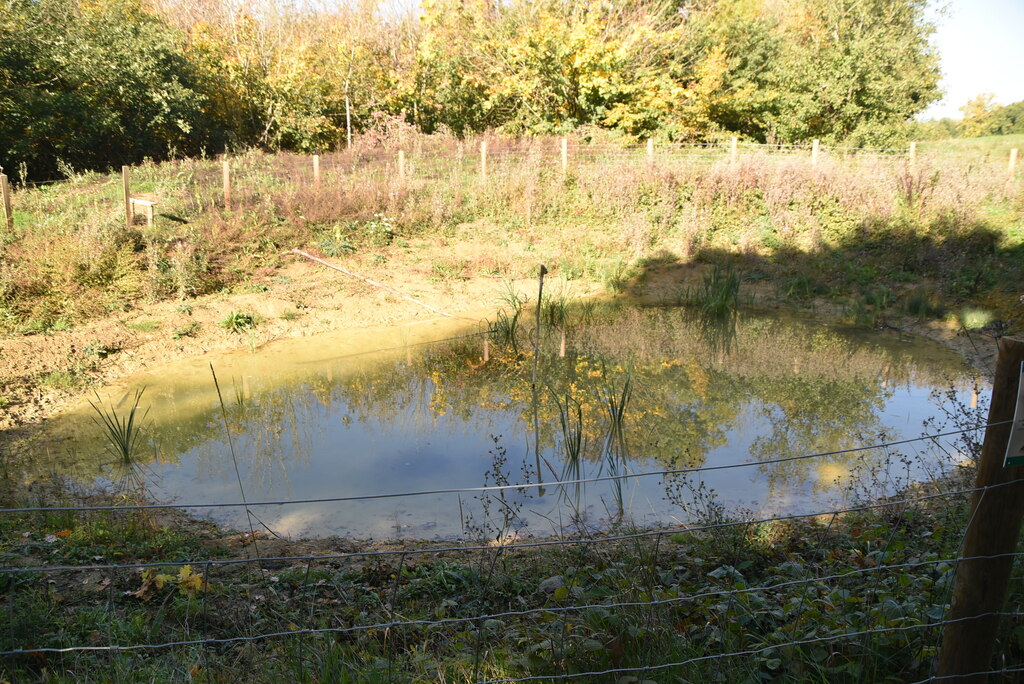 Pond © N Chadwick Geograph Britain And Ireland