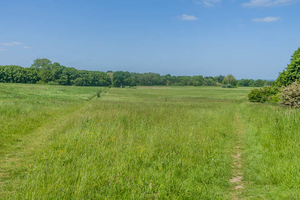 Field © Ian Capper cc-by-sa/2.0 :: Geograph Britain and Ireland