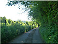 Lockeringe Lane towards South Alkham