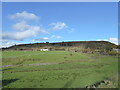 Pasture below Bank Barn Lane