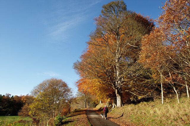 walking-up-the-main-drive-to-the-julian-paren-geograph-britain