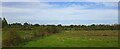 Field south of Skellow, from the railway