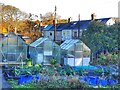 Allotments, Hagg Bank