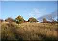 Autumn colours near Baron