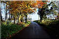 Knockmoyle Road, Knockmoyle