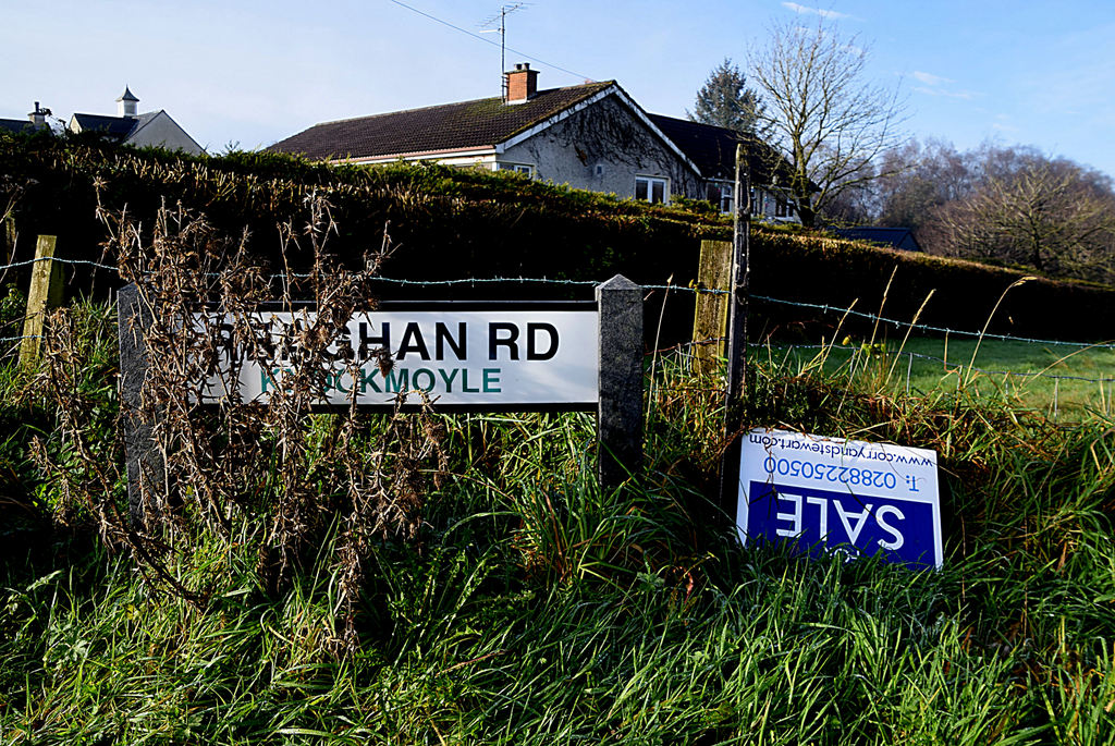 Partly Obscured Road Sign Along Reaghan... © Kenneth Allen Cc-by-sa/2.0 ...