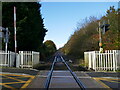 Level crossing and the Newstead Loop