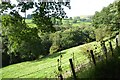 Field above Afon Rhaeadr