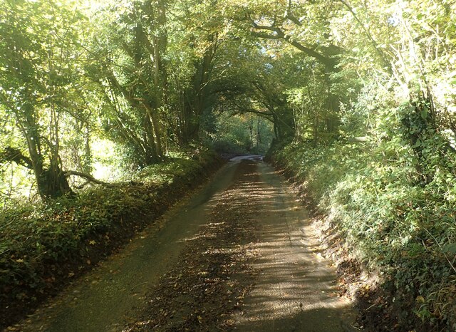 Lane through Church Wood