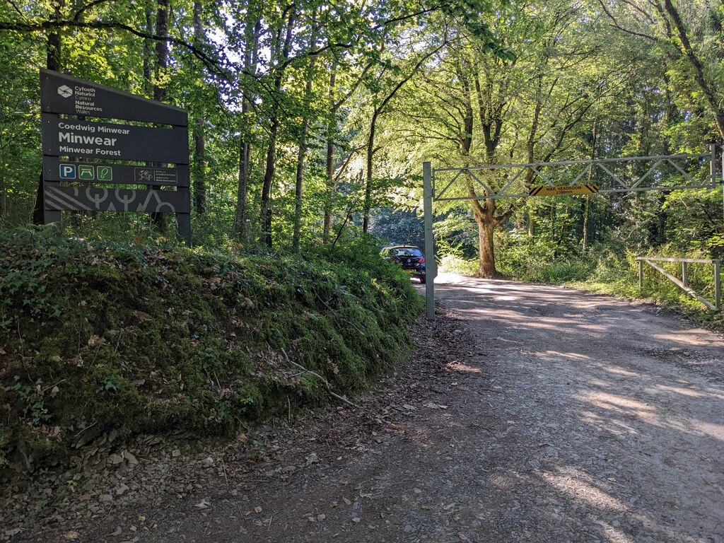 A wood or a forest? © David Medcalf cc-by-sa/2.0 :: Geograph Britain ...