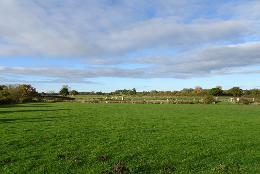 railway-near-york-road-ds-pugh-cc-by-sa-2-0-geograph-britain-and