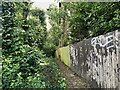 Path by fence, Upper Norwood