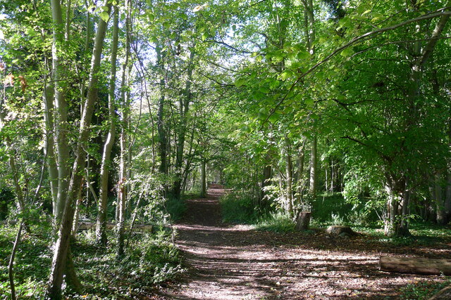 Byway bounding the north-east side of... © Tim Heaton :: Geograph ...