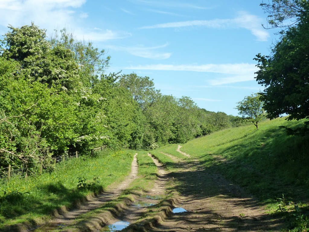 Public Byway ER122 Alkham © Robin Webster :: Geograph Britain And Ireland